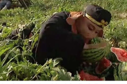 娱乐吃瓜西游记,西游记中的趣味故事与经典瞬间