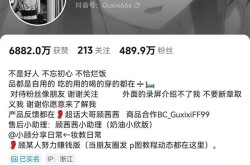 抖音网红吃瓜黑料在线观看网站“一天躺赚30万元”的女网红被禁言曾自曝有案底