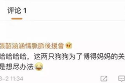 一些关于娱乐圈吃瓜总结,揭秘明星幕后故事与八卦传闻