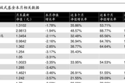 基金165309,揭秘投资潜力与市场表现