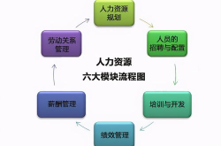 人力资源管理是干什么的,构建高效团队，优化组织效能