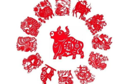 1949年是什么生肖,勤劳与毅力的象征，回顾历史与性格特点”