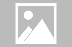技击游戏下载十大耐玩技击游戏排行榜，马途上泊车线图片大全