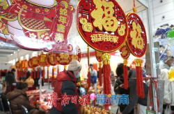 年货会,传统与现代的交融，春节购物指南